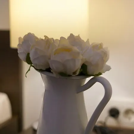Apartment Apartman Reno *